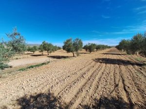 Imagen de inmueble disponible de la inmobiliaria DS Inmobiliaria