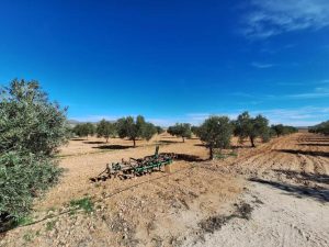 Imagen de inmueble disponible de la inmobiliaria DS Inmobiliaria