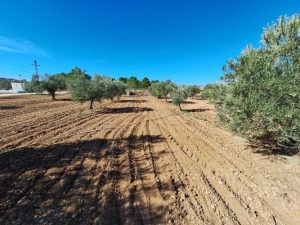 Imagen de inmueble disponible de la inmobiliaria DS Inmobiliaria