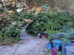 Imagen de inmueble disponible de la inmobiliaria DS Inmobiliaria