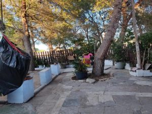 Imagen de inmueble disponible de la inmobiliaria DS Inmobiliaria