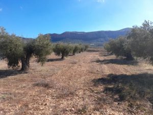 Imagen de inmueble disponible de la inmobiliaria DS Inmobiliaria