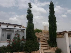 Imagen de inmueble disponible de la inmobiliaria DS Inmobiliaria