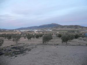 Imagen de inmueble disponible de la inmobiliaria DS Inmobiliaria