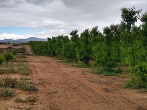 Imagen de inmueble disponible de la inmobiliaria DS Inmobiliaria