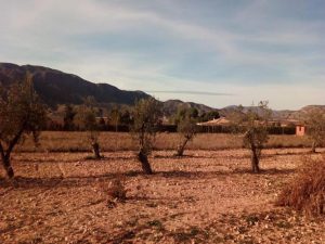 Imagen de inmueble disponible de la inmobiliaria DS Inmobiliaria