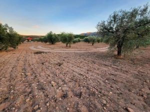 Imagen de inmueble disponible de la inmobiliaria DS Inmobiliaria