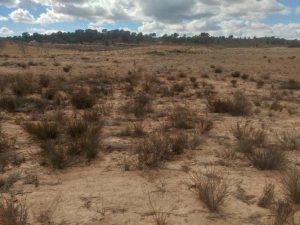 Imagen de inmueble disponible de la inmobiliaria DS Inmobiliaria