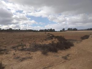 Imagen de inmueble disponible de la inmobiliaria DS Inmobiliaria