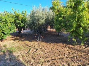 Imagen de inmueble disponible de la inmobiliaria DS Inmobiliaria