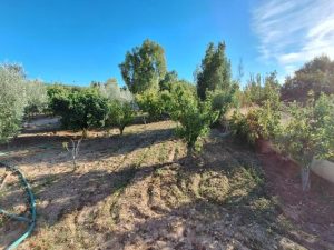 Imagen de inmueble disponible de la inmobiliaria DS Inmobiliaria