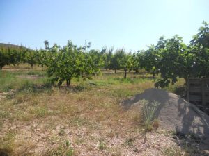 Imagen de inmueble disponible de la inmobiliaria DS Inmobiliaria