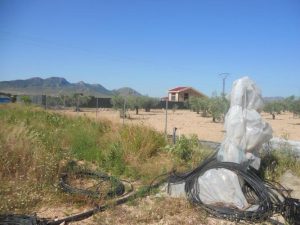 Imagen de inmueble disponible de la inmobiliaria DS Inmobiliaria