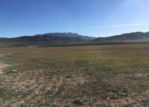 Imagen de inmueble disponible de la inmobiliaria DS Inmobiliaria