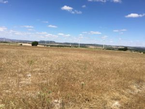 Imagen de inmueble disponible de la inmobiliaria DS Inmobiliaria