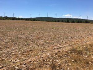 Imagen de inmueble disponible de la inmobiliaria DS Inmobiliaria