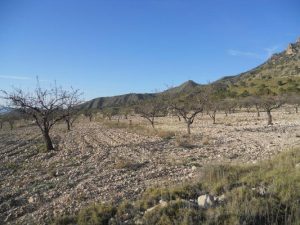 Imagen de inmueble disponible de la inmobiliaria DS Inmobiliaria