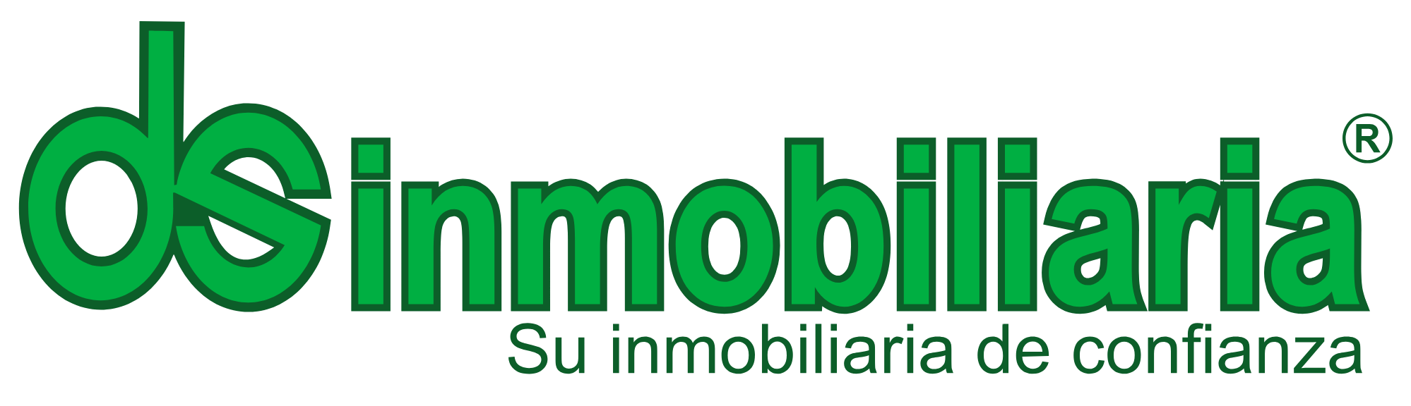DsInmobiliaria logo